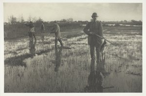 Strzelanie do bekasów autorstwa Peter Henry Emerson
