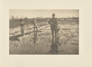  autorstwa Peter Henry Emerson