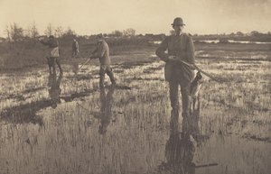  autorstwa Peter Henry Emerson