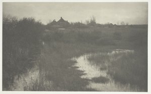 Obrzeża bagien autorstwa Peter Henry Emerson