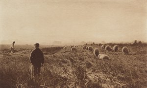 Bagna w czerwcu 1890-1891, druk 1893. autorstwa Peter Henry Emerson