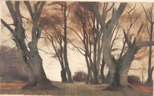 Buki w Ermelunden autorstwa Peter Vilhelm Ilsted