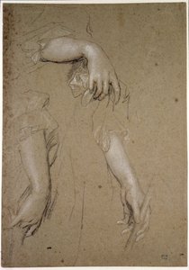 Studia dłoni, XVII w. (kreda na papierze) autorstwa Peter Lely