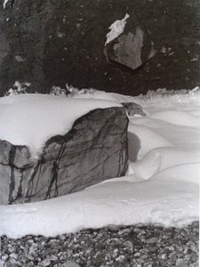 VINTAGE B&W FOTO nr 3, 1985, (FOTOGRAFIA) autorstwa Peter McClure