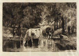 Basen autorstwa Peter Moran