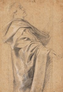 Mężczyzna w szerokim płaszczu autorstwa Peter Paul Rubens