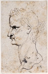 Gaius Caligula, z dziesięciu rysunków ośmiu z pierwszych dwunastu Cezarów, według medali Giovanniego da Cavino (pióro i atrament na papierze) autorstwa Peter Paul Rubens