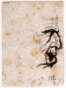 Galba, z dziesięciu rysunków ośmiu z pierwszych dwunastu Cezarów, według medali Giovanniego da Cavino (pióro i atrament na papierze) autorstwa Peter Paul Rubens