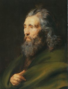 Studium głowy brodatego mężczyzny, ok. 1617 r. autorstwa Peter Paul Rubens