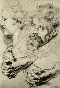 Studia głowy i rąk autorstwa Peter Paul Rubens