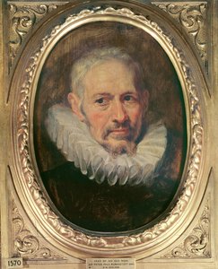 Głowa starego człowieka (olej na płótnie) autorstwa Peter Paul Rubens