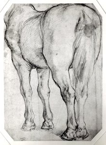 Tył konia autorstwa Peter Paul Rubens