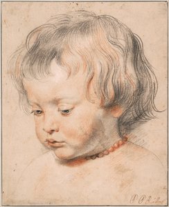Nicolaas Rubens w koralowym naszyjniku, ok. 1619 autorstwa Peter Paul Rubens