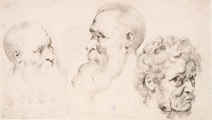  autorstwa Peter Paul Rubens