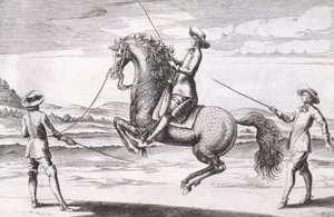 Ilustracja konia en Croupade z Nowego traktatu o hodowli koni napisanego przez Wintersa, Stutereya i Reit-Schula, wyd. 1672 autorstwa Peter Paul Troschel