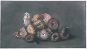 Martwa natura z suszonych kwiatów (kolorowa mezzotinta) autorstwa Peter Vilhelm Ilsted