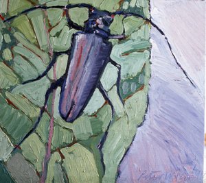 Żuk piżmowy autorstwa Peter Wilson