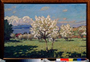 Kwiaty wiśni. Malarstwo Piotra Iwanowicza Pietrowiczewa (Piotr Pietrowiczew) (1874-1947), olej na płótnie