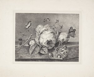 Kwiat martwa natura autorstwa Petronella van Woensel