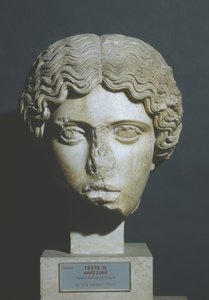 Głowa Amazona autorstwa Phidias Phidias