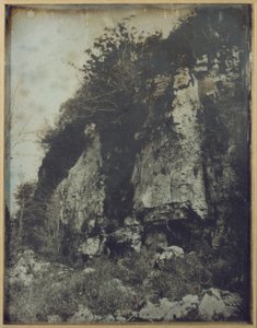 Willa, 1841