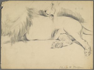 Studia lwa (grafit na papierze) autorstwa Philip H. Wolfrom