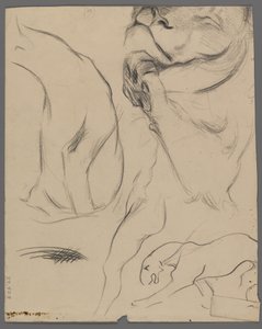 Studia lwa (grafit na papierze) autorstwa Philip H. Wolfrom