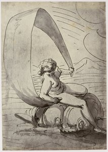 Cangiasis, Galathea autorstwa Philip Henry Delamotte