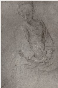 Domenichino, Smutek autorstwa Philip Henry Delamotte
