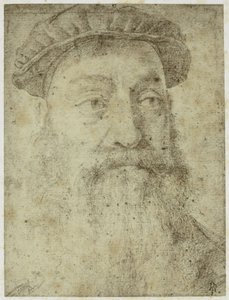 Zdjęcie z „Studium do portretu Stefano Colonny” Bronzino