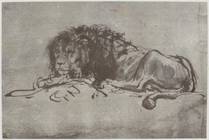 Rembrandt, Lew