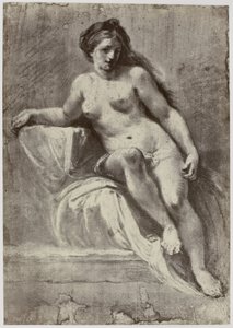 Zuccarelli, studium