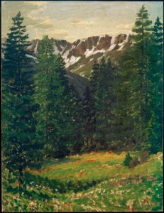 Krajobraz leśny, (krajobraz) autorstwa Philipp Bauknecht