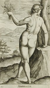 Ambracia