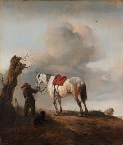 Biały koń, pleśń. około 1646 autorstwa Philips Wouwerman