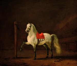 Biały koń w stajni autorstwa Philips Wouwerman