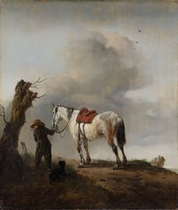Szary Koń, ok.1646
