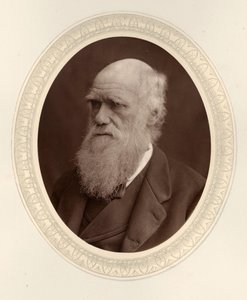 Portret Karola Darwina 1809-1882, 1877. autorstwa Photo studio Lock and Whitfield