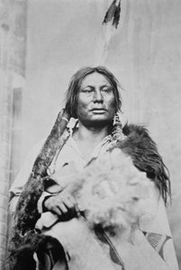 Chief Gall (ok. 1840-94) (zdjęcie czarno-białe)