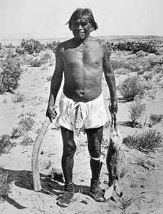 Łowca Hopi (zdjęcie czarno-białe) autorstwa Photographer American