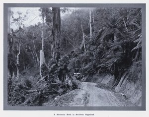 Górska droga w południowym Gippsland (zdjęcie czarno-białe) autorstwa Photographer Australian