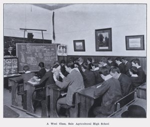 Klasa wełny, sprzedaż Liceum Rolnicze (zdjęcie czarno-białe) autorstwa Photographer Australian