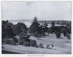 Ogrody Botaniczne, Farm Cove, Sydney (zdjęcie czarno-białe) autorstwa Photographer Australian