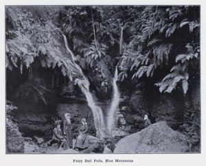 Fairy Dell Falls, Góry Błękitne (zdjęcie czarno-białe) autorstwa Photographer Australian