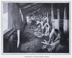 Ręczne strzyżenie w Riverina Woolshed, Merribee (zdjęcie czarno-białe) autorstwa Photographer Australian
