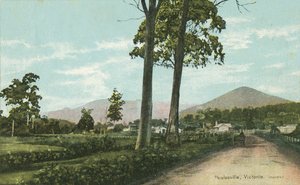 Healesville, Wiktoria, Australia (kolorowe zdjęcie)