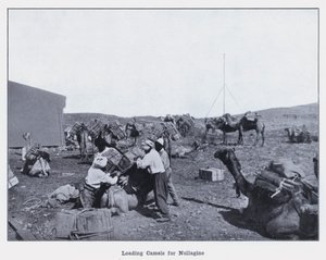 Ładowanie wielbłądów do Nullagine (zdjęcie czarno-białe) autorstwa Photographer Australian