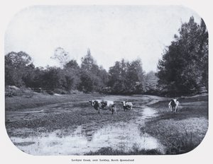 Lockyer Creek, niedaleko Laidley, South Queensland (zdjęcie czarno-białe) autorstwa Photographer Australian