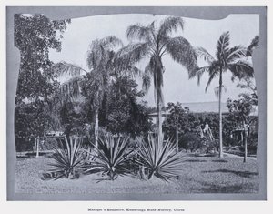 Rezydencja menedżera, żłobek państwowy Kamerunga, Cairns (zdjęcie czarno-białe) autorstwa Photographer Australian