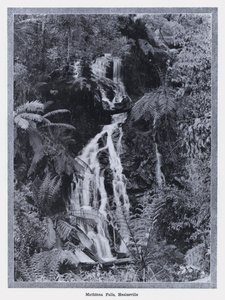 Wodospad Mathinna, Healesville (zdjęcie czarno-białe) autorstwa Photographer Australian
